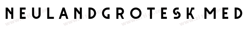 NeulandGrotesk Mediu字体转换